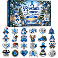 Prostate Cancer Advent Calendar  HG  Acrylic Ornament Countdown Blind Box Holiday Gift