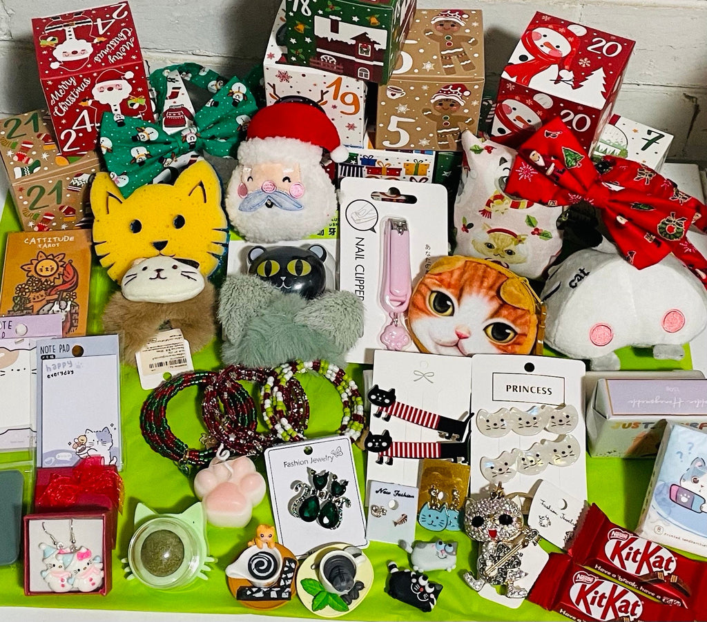 Cat Lover Advent Calendar HG - 24 Box Christmas Countdown Cat Themed Gifts