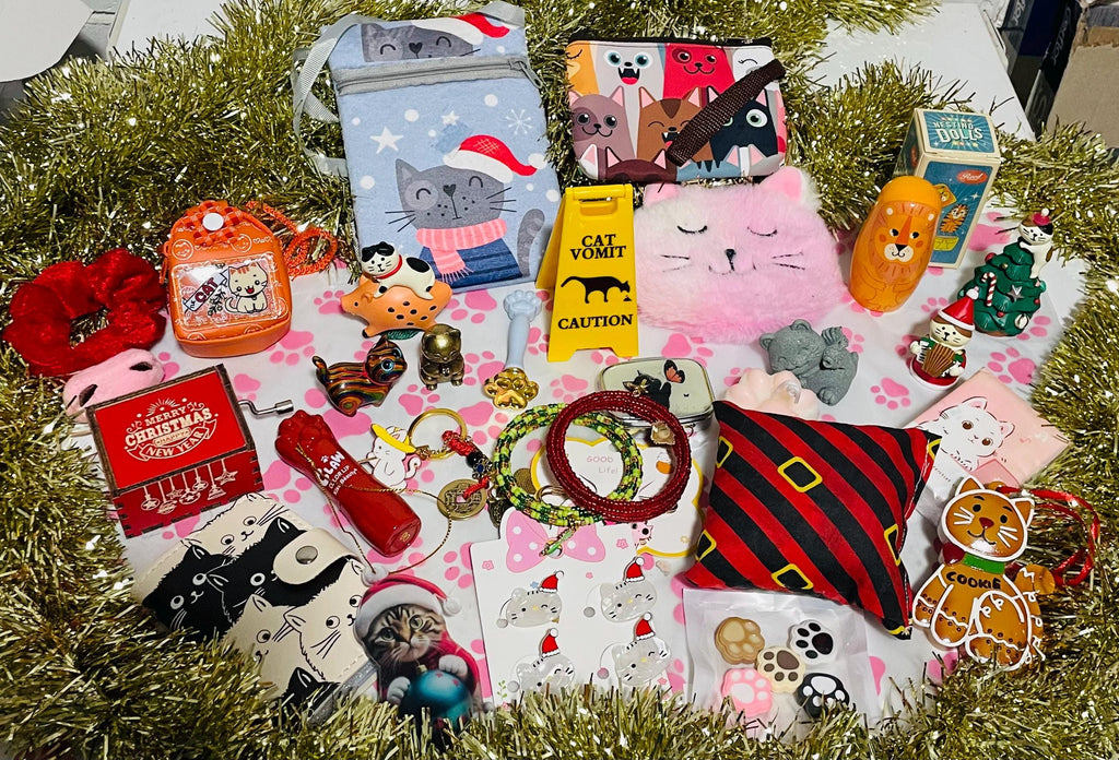 Cat Lover Advent Calendar HG - 24 Box Christmas Countdown Cat Themed Gifts