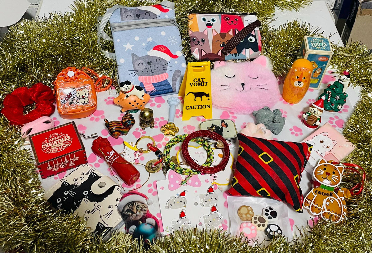 Cat Lover Advent Calendar HG - 24 Box Christmas Countdown Cat Themed Gifts