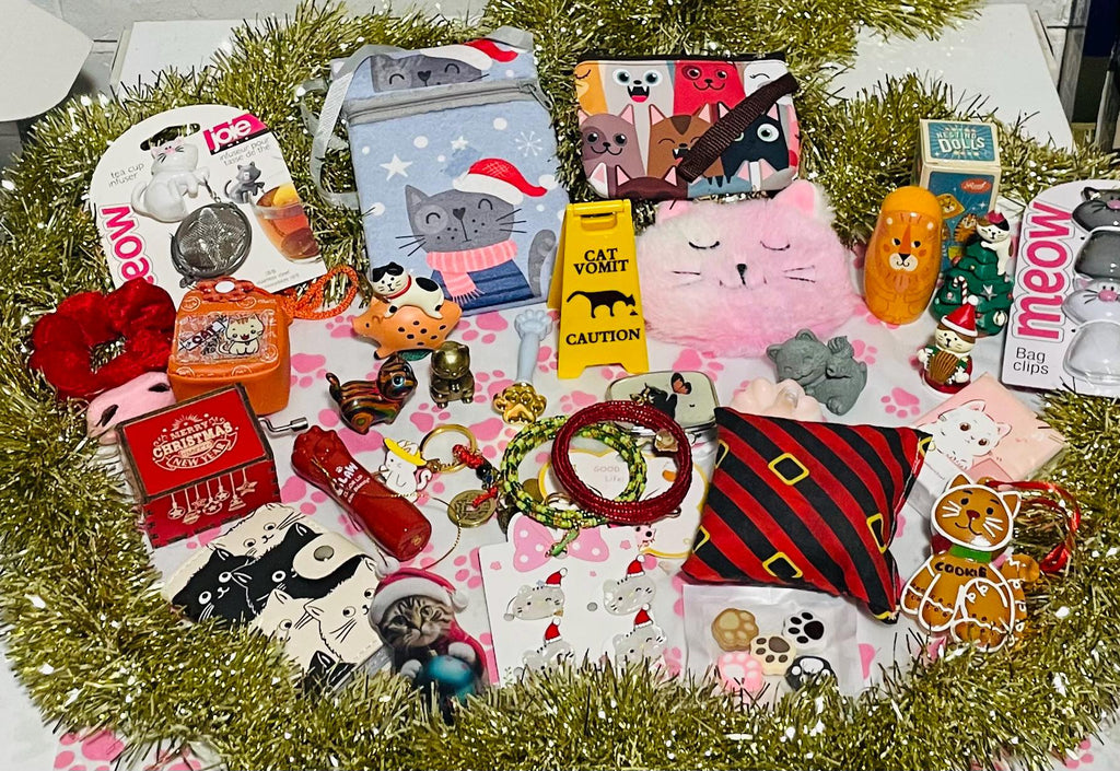 Cat Lover Advent Calendar HG - 24 Box Christmas Countdown Cat Themed Gifts