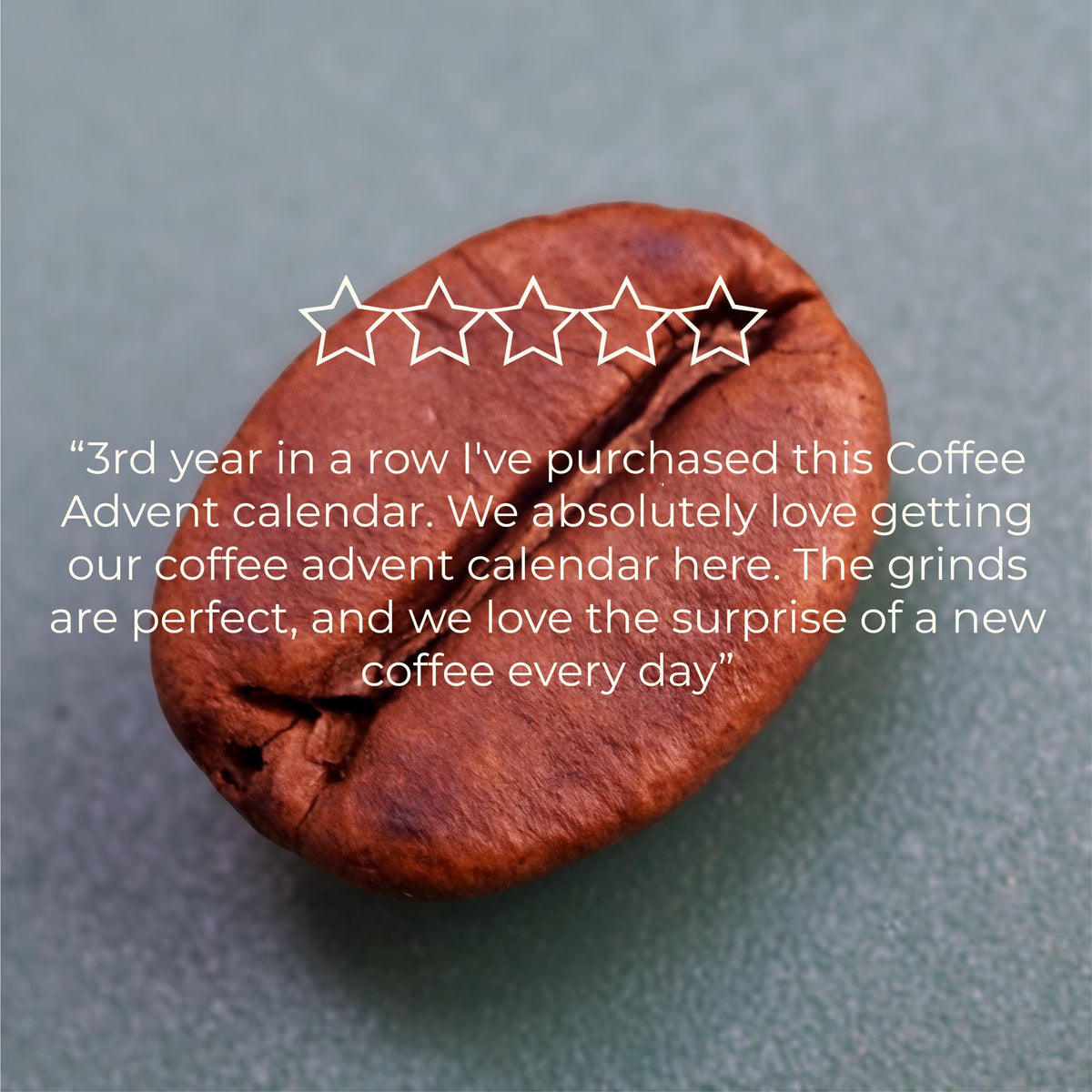 Coffee Advent Calendar HG 2026: 24 Craft Specialty coffees, Fresh Roasted