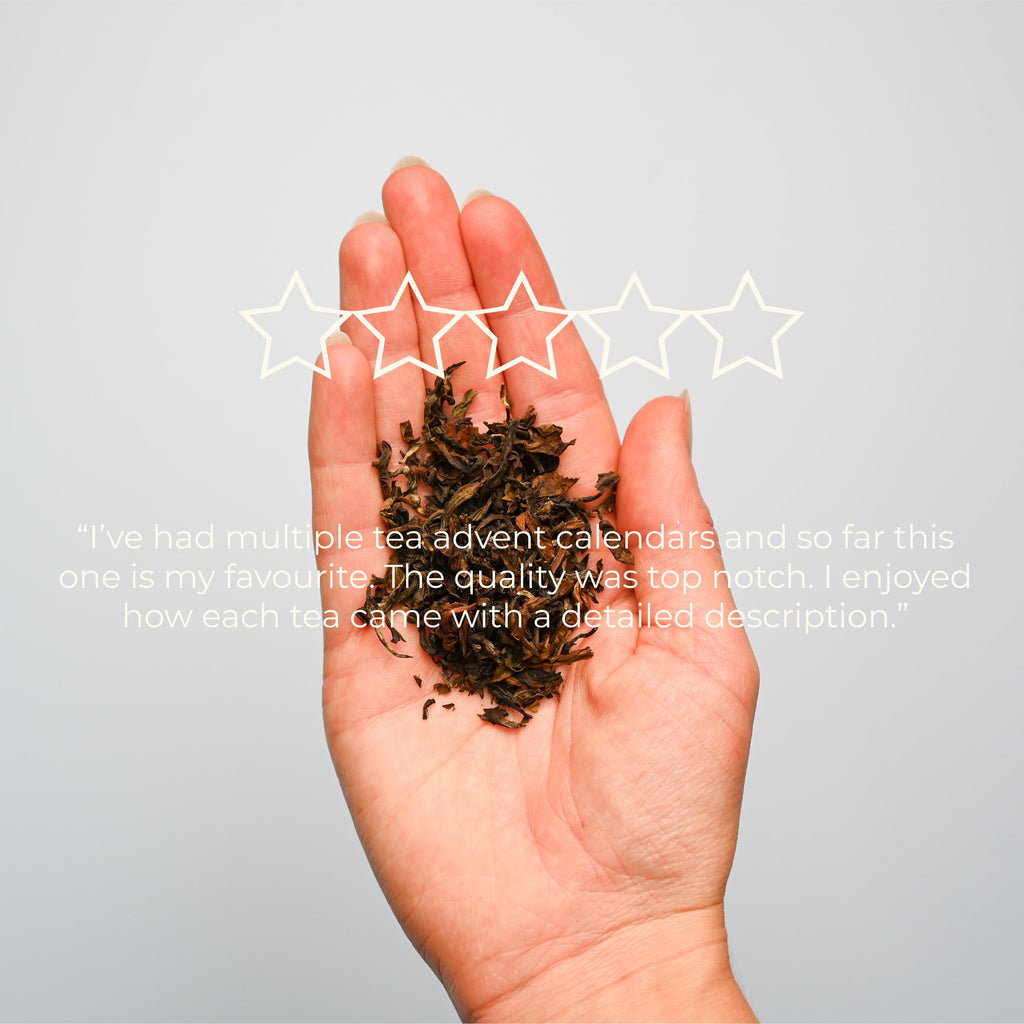 Tea Advent Calendar HG 2026: Christmas Blends, Single Origin, Breakfast, Caffeine-Free