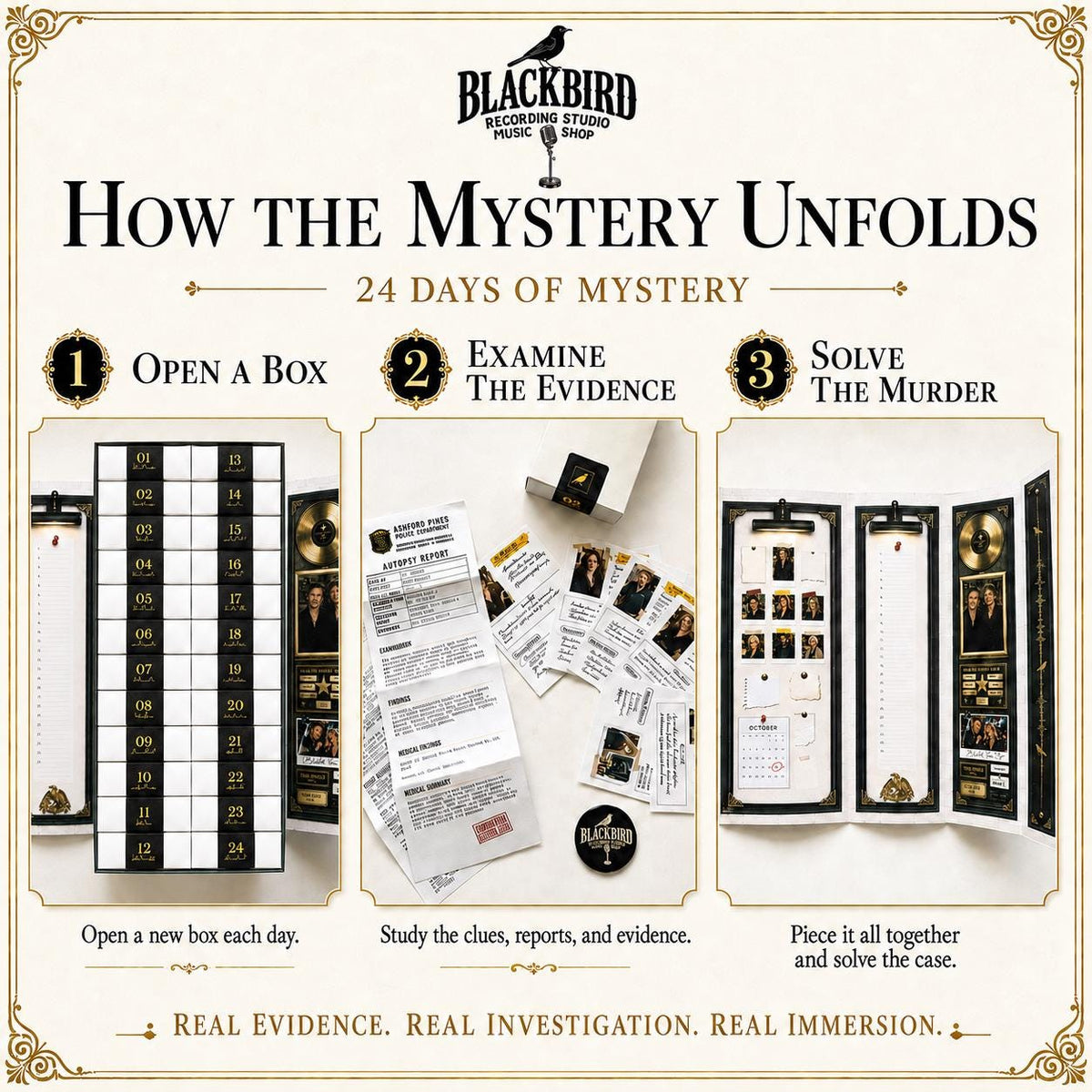 24-Day Murder Mystery Advent Calendar HG for Adults: Blackbird Cold Case Detective Game