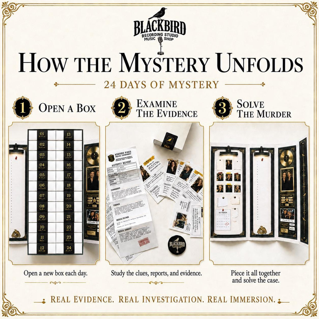 24-Day Murder Mystery Advent Calendar HG for Adults: Blackbird Cold Case Detective Game