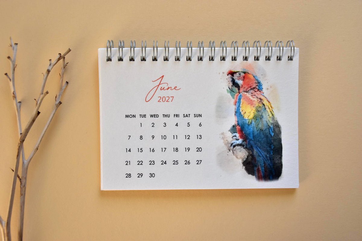 2027 Bird Desk Calendar, Watercolor Birds, Small Standing Flip Calendar, Bird Lover Gift