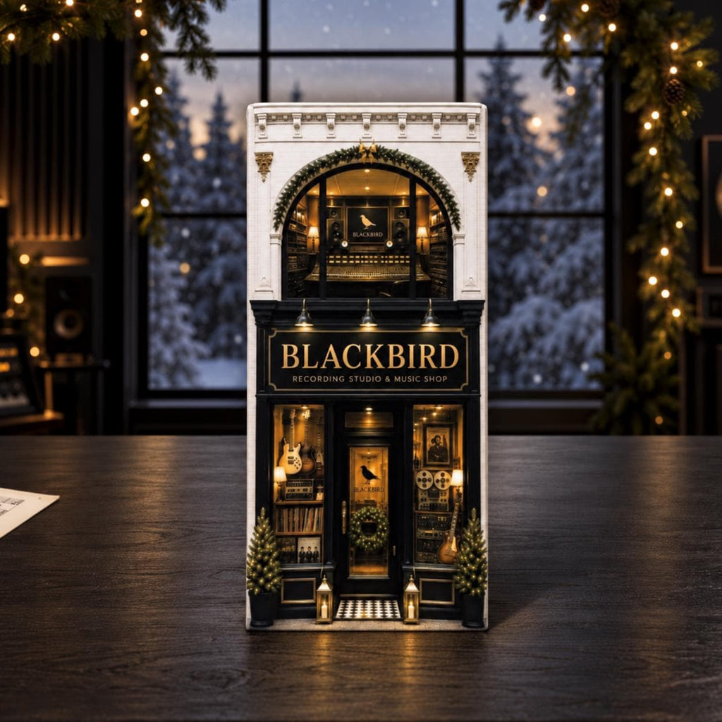 24-Day Murder Mystery Advent Calendar HG for Adults: Blackbird Cold Case Detective Game
