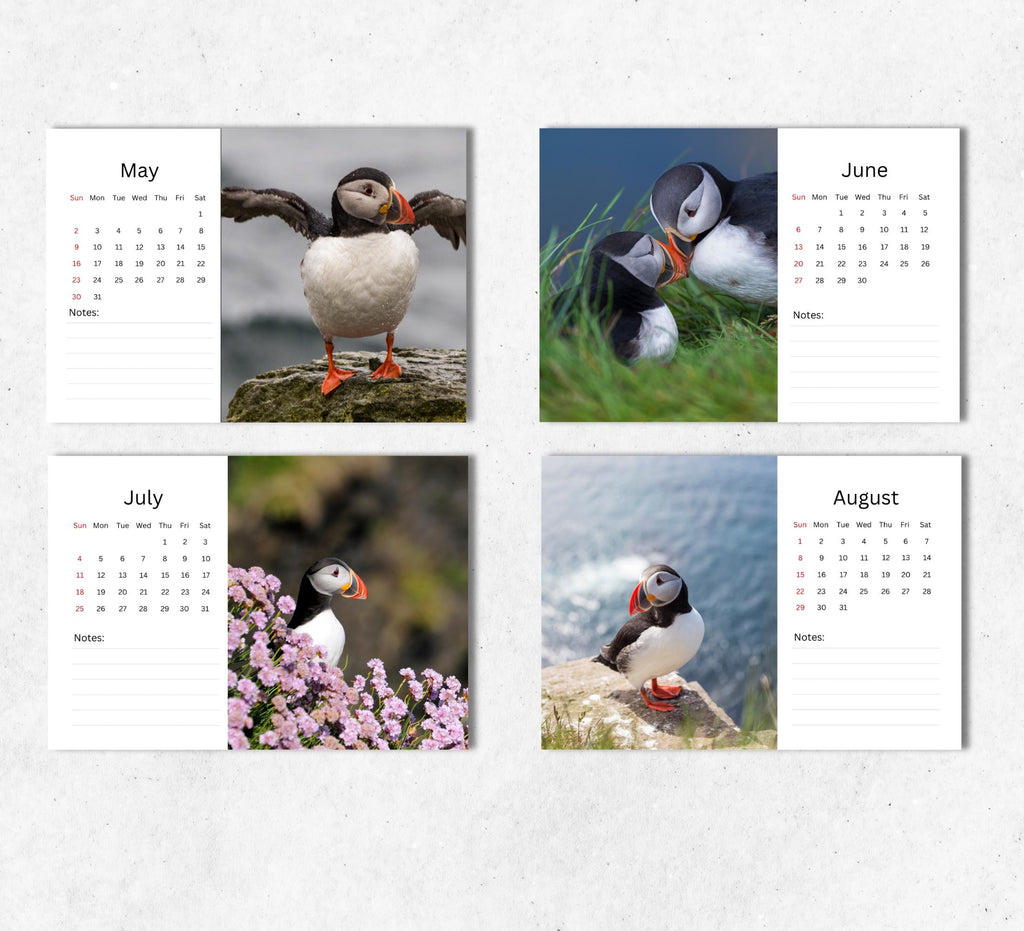 Puffins Desk Calendar 2027-2028: Standing Flip Desktop Calendar with Thick Paper (15.25cm x 22cm - similar to A5)