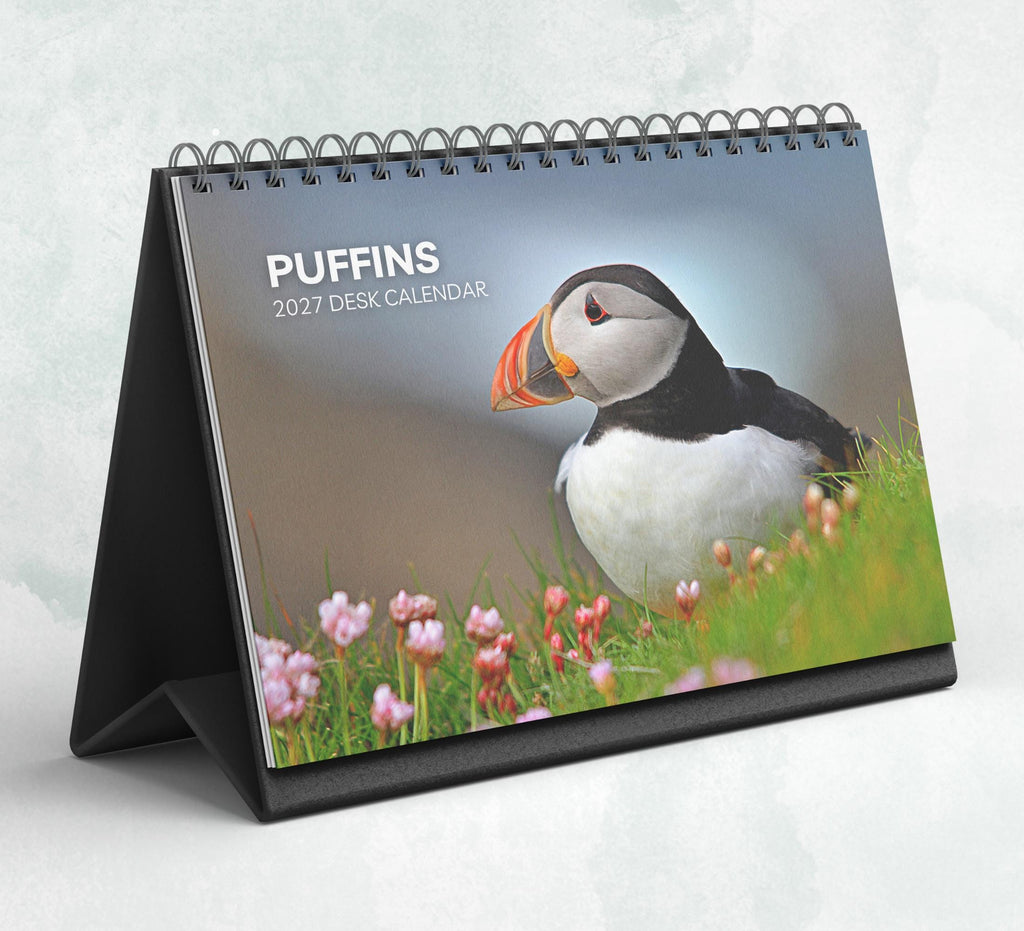 Puffins Desk Calendar 2027-2028: Standing Flip Desktop Calendar with Thick Paper (15.25cm x 22cm - similar to A5)