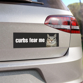 Curbs Fear Me / HFN Car Bumper MAGNET / Funny Cat Meme, Gen Z Unhinged, Car Accessory, Cute Magnetic Car Decal / Waterproof Vinyl Car Magnet