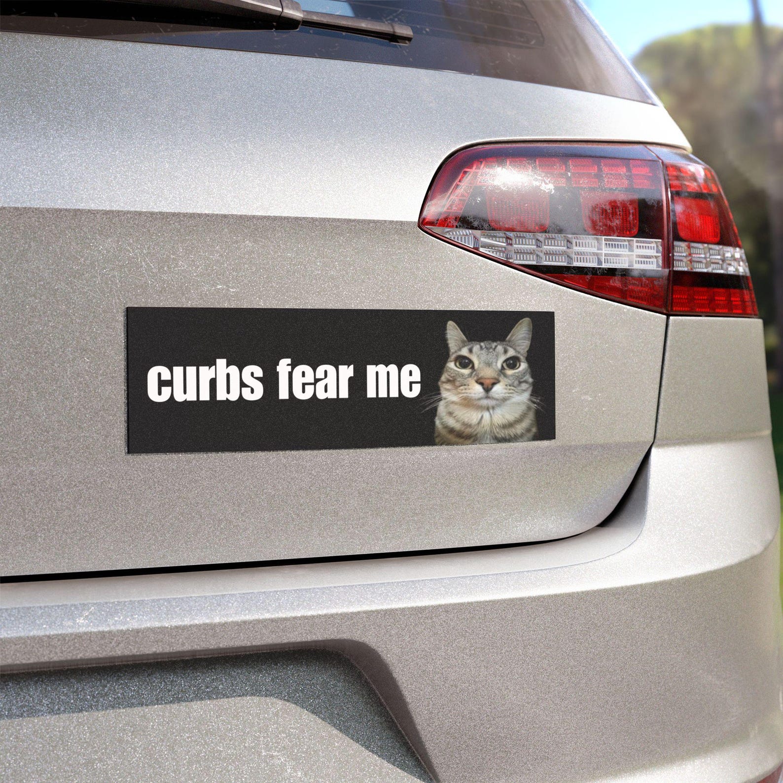 Curbs Fear Me / HFN Car Bumper MAGNET / Funny Cat Meme, Gen Z Unhinged, Car Accessory, Cute Magnetic Car Decal / Waterproof Vinyl Car Magnet