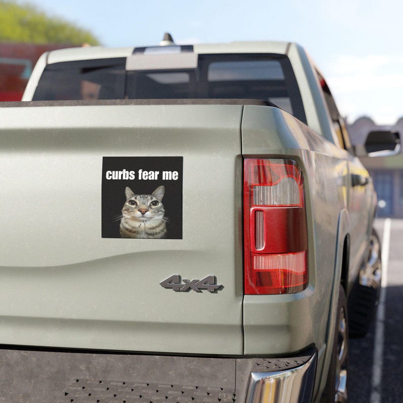 Curbs Fear Me / HFN Car Bumper MAGNET / Funny Cat Meme, Gen Z Unhinged, Car Accessory, Cute Magnetic Car Decal / Waterproof Vinyl Car Magnet
