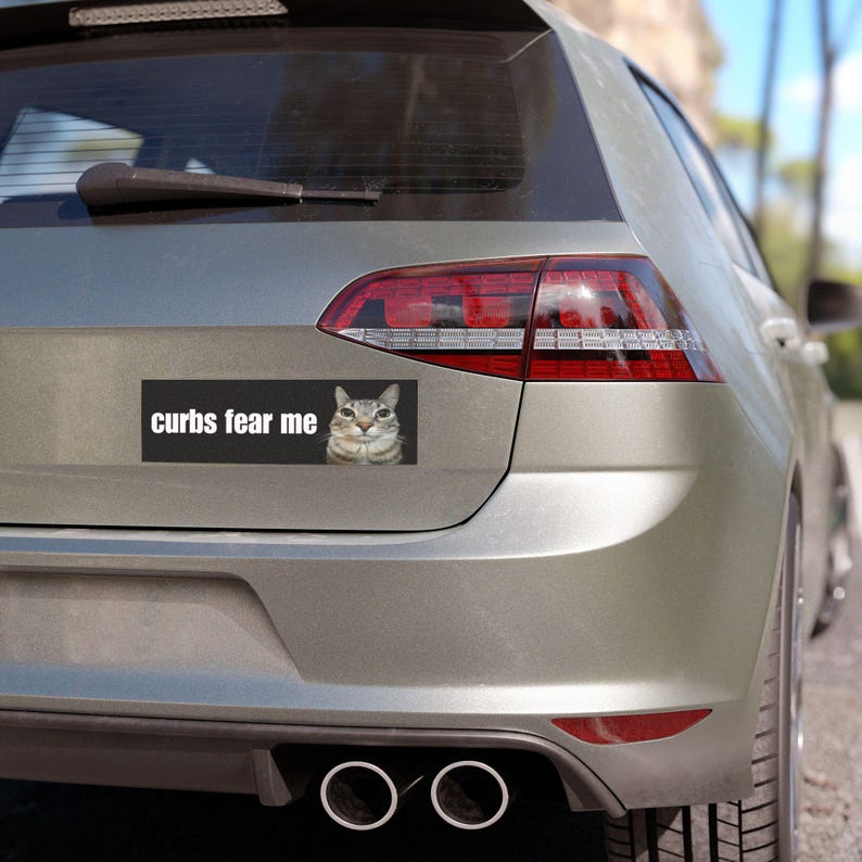 Curbs Fear Me / HFN Car Bumper MAGNET / Funny Cat Meme, Gen Z Unhinged, Car Accessory, Cute Magnetic Car Decal / Waterproof Vinyl Car Magnet