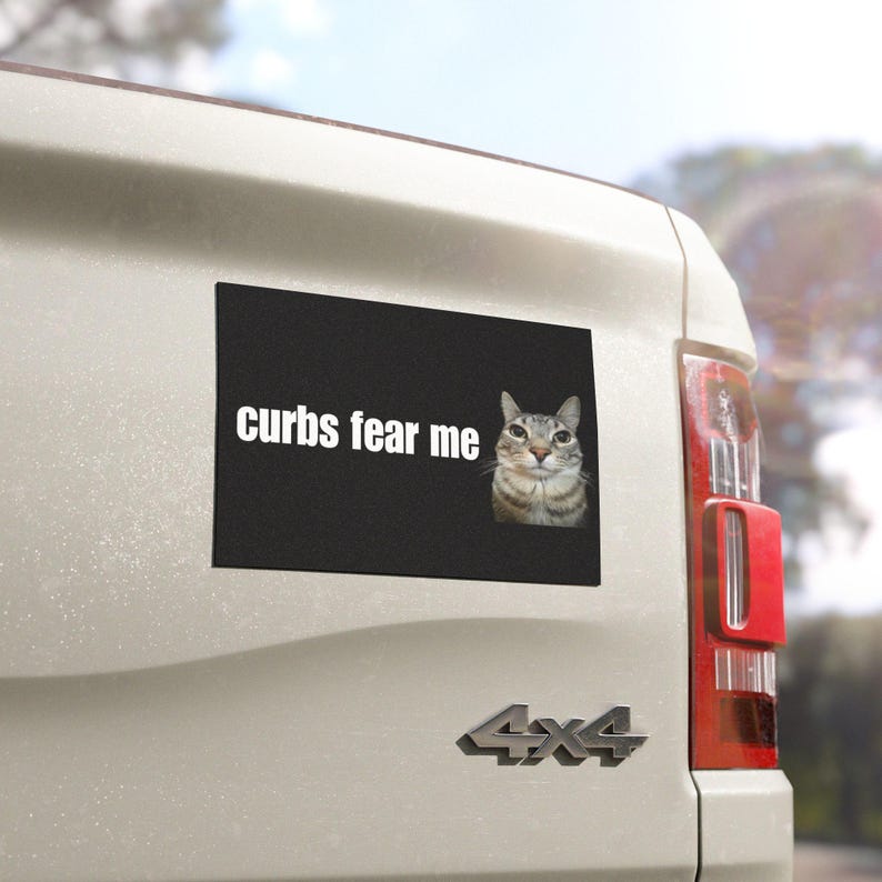 Curbs Fear Me / HFN Car Bumper MAGNET / Funny Cat Meme, Gen Z Unhinged, Car Accessory, Cute Magnetic Car Decal / Waterproof Vinyl Car Magnet
