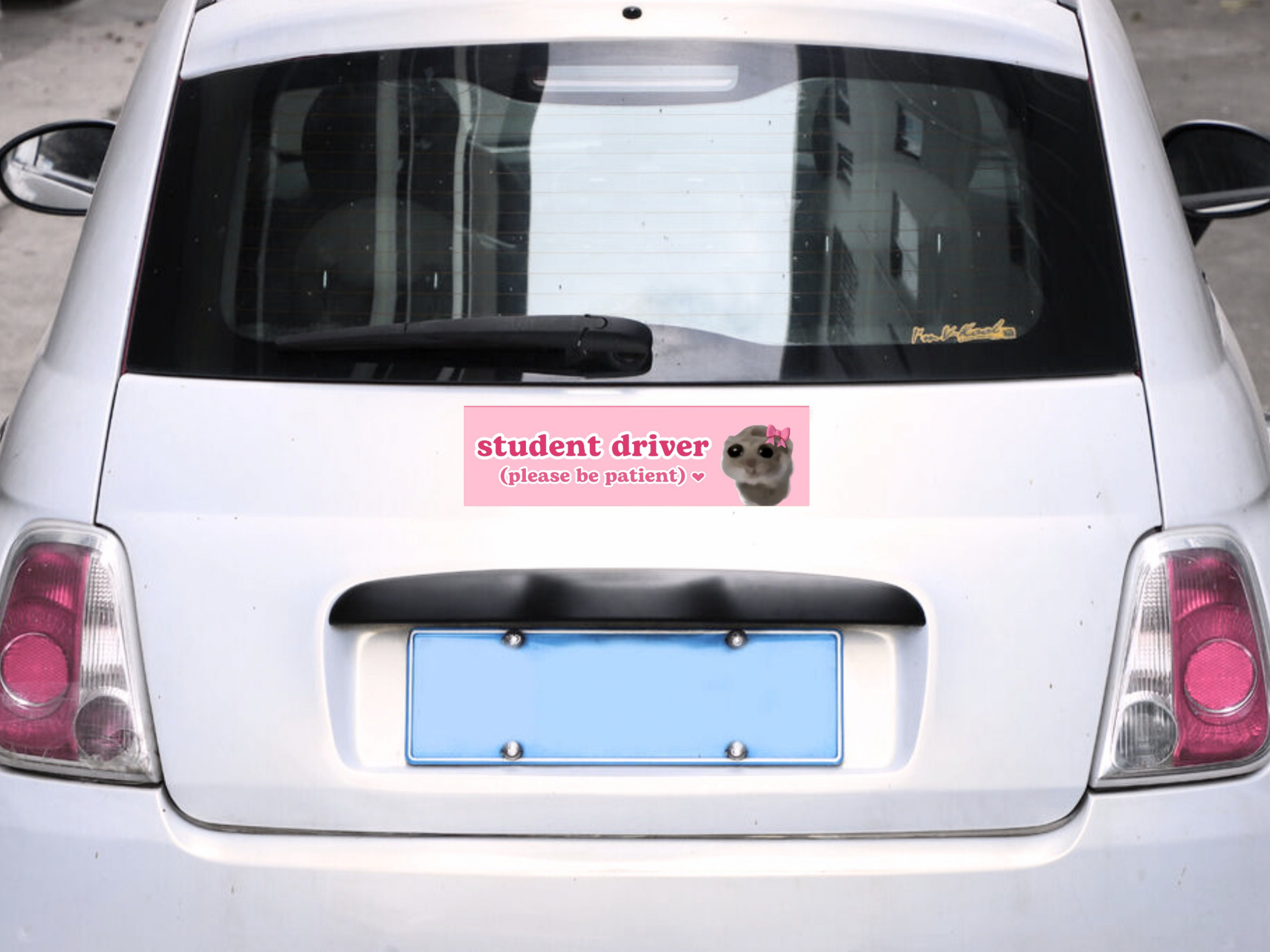 student driver | Sad Hamster Car Bumper Sticker | Crying Funny Cute Pink Coquettte Car Sticker Decal | Waterproof Vinyl | 11 x 3"" HFN