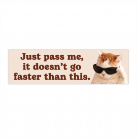 Just past me  it doesn't go faster than this | Cat Meme Car Bumper Sticker | Funny Cute Sign Accessory | Waterproof Vinyl Car Decal 11 x 3"" HFN
