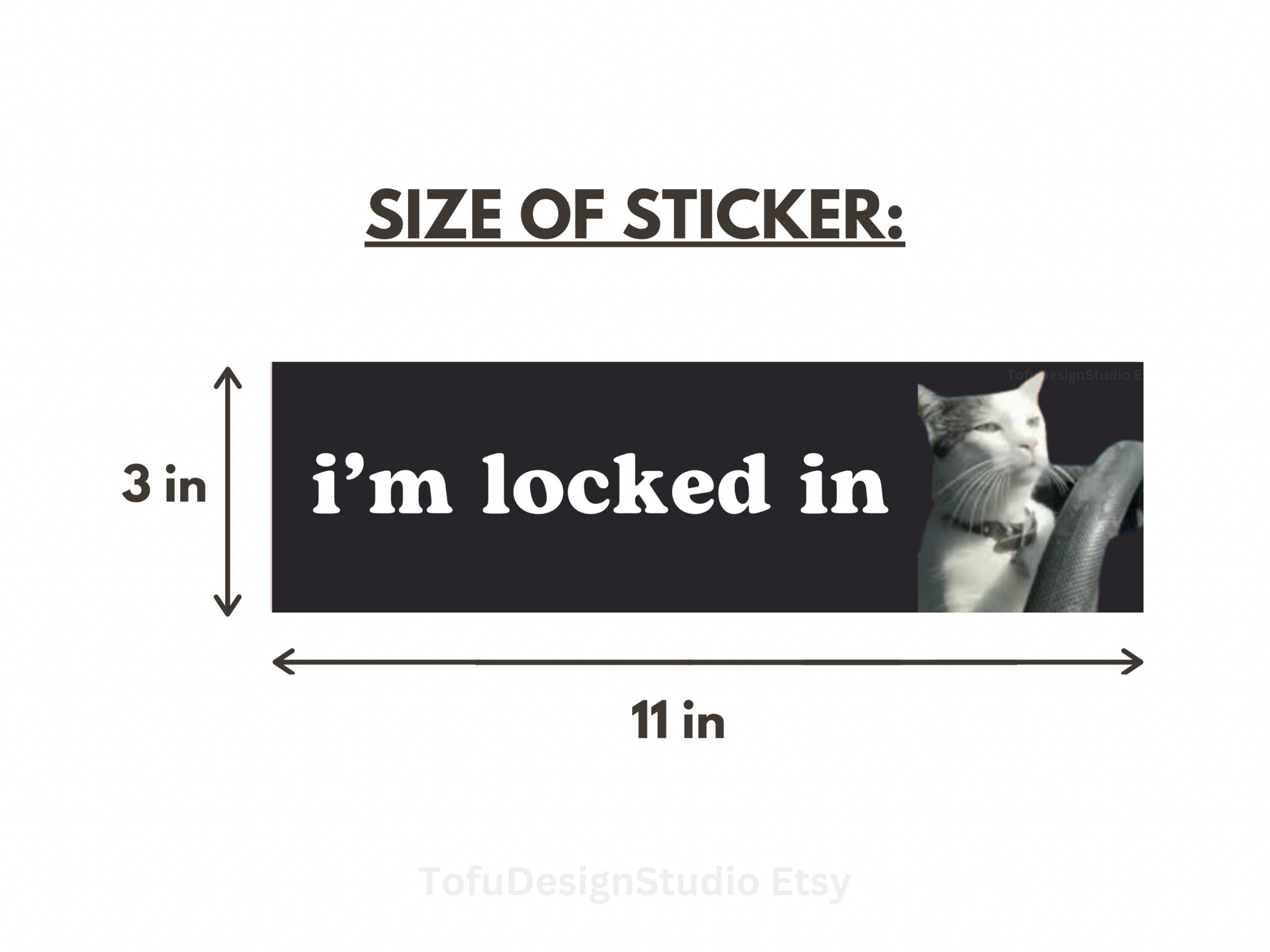 i'm locked in | Cat Meme Car Bumper Sticker | Driving Kitty Funny Cute Car Sticker Accessories | Waterproof Vinyl Window Car Decal 11 x 3"" HFN