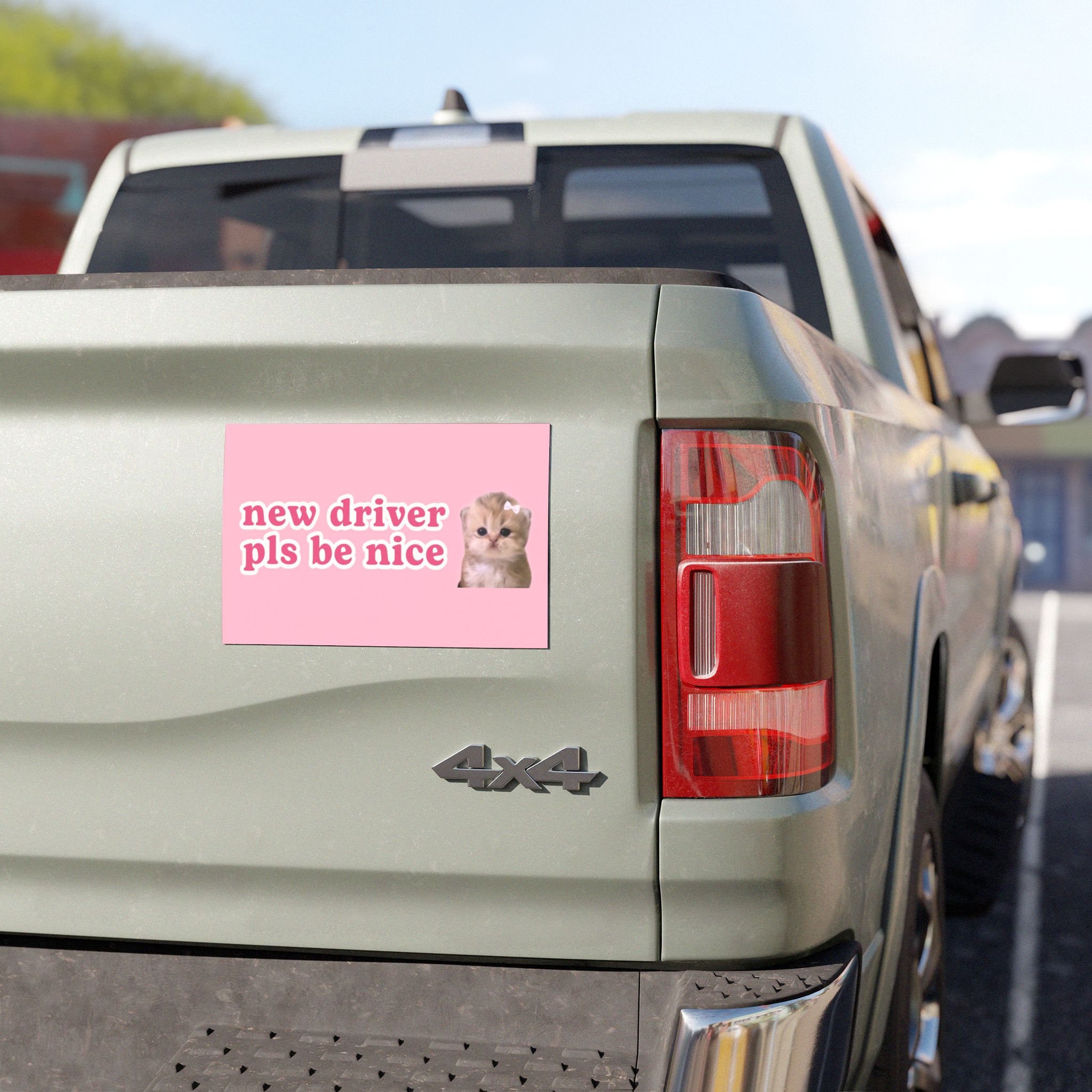 new driver pls be nice | Cat Meme Car Bumper MAGNET | Funny Kitty Cute Kawaii Coquette Girl Pink Car Decal Accessory | Car Vinyl Magnet HFN