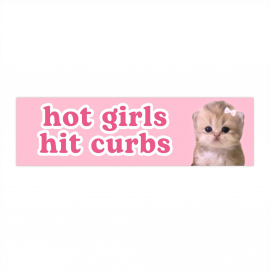 hot girls hit curbs | Cute Cat Meme Car Bumper Sticker | Funny  Kawaii Pink Coquette Girl  Car Decal Accessory | Waterproof Vinyl Sticker HFN