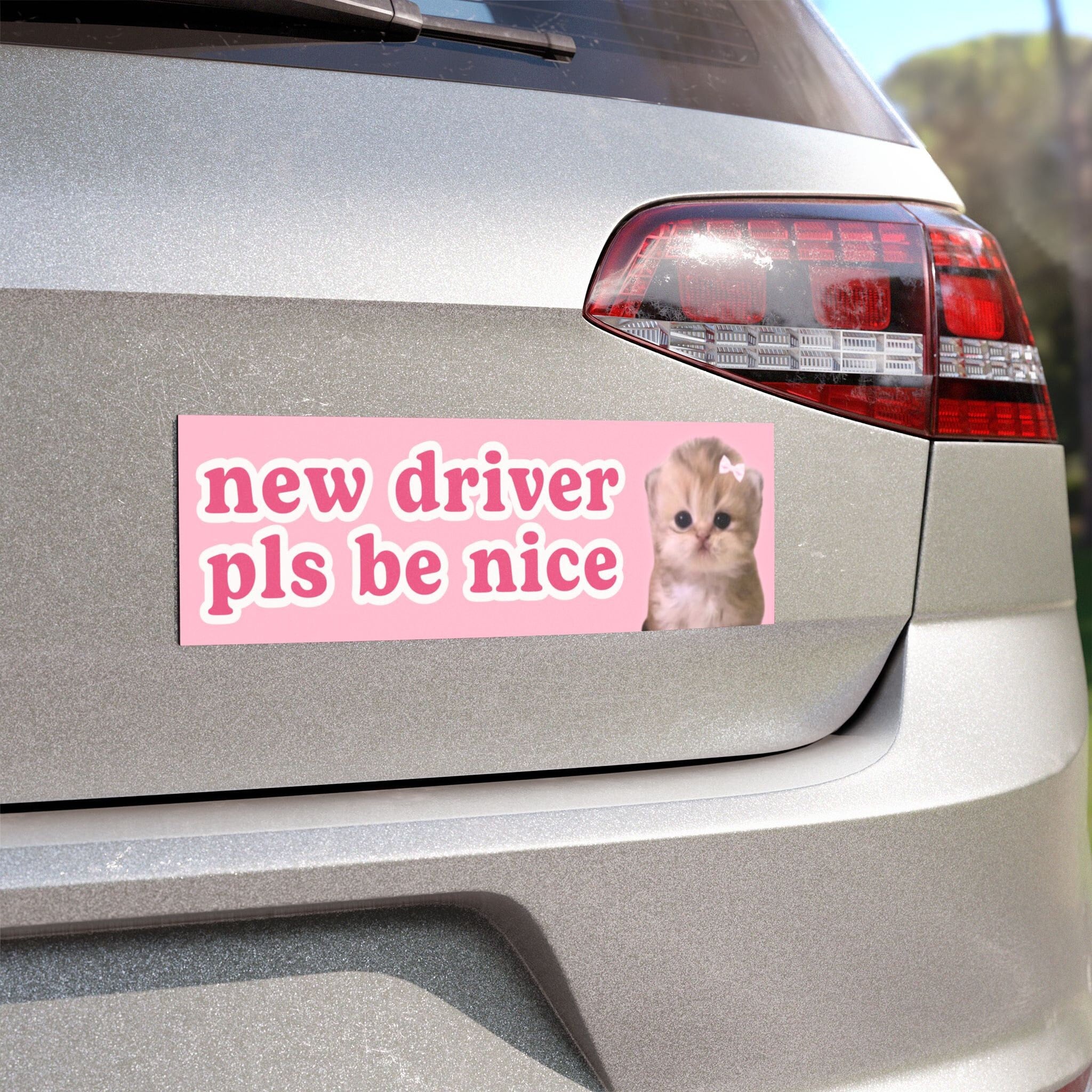 new driver pls be nice | Cat Meme Car Bumper MAGNET | Funny Kitty Cute Kawaii Coquette Girl Pink Car Decal Accessory | Car Vinyl Magnet HFN