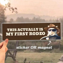 This Actually Is My First Rodeo | Car Bumper Magnet OR Sticker | Funny Cowboy Cat Meme  Cute Car Accessory Gift | Waterproof Vinyl Decal HFN