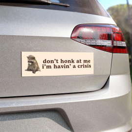 Don't Honk At Me I'm Havin a Crisis | Car Bumper Magnet | Funny Meme Raccoon  Critter  Gen Z  Unhinged Cute Car Decal | Magnetic Vinyl Decal HFN