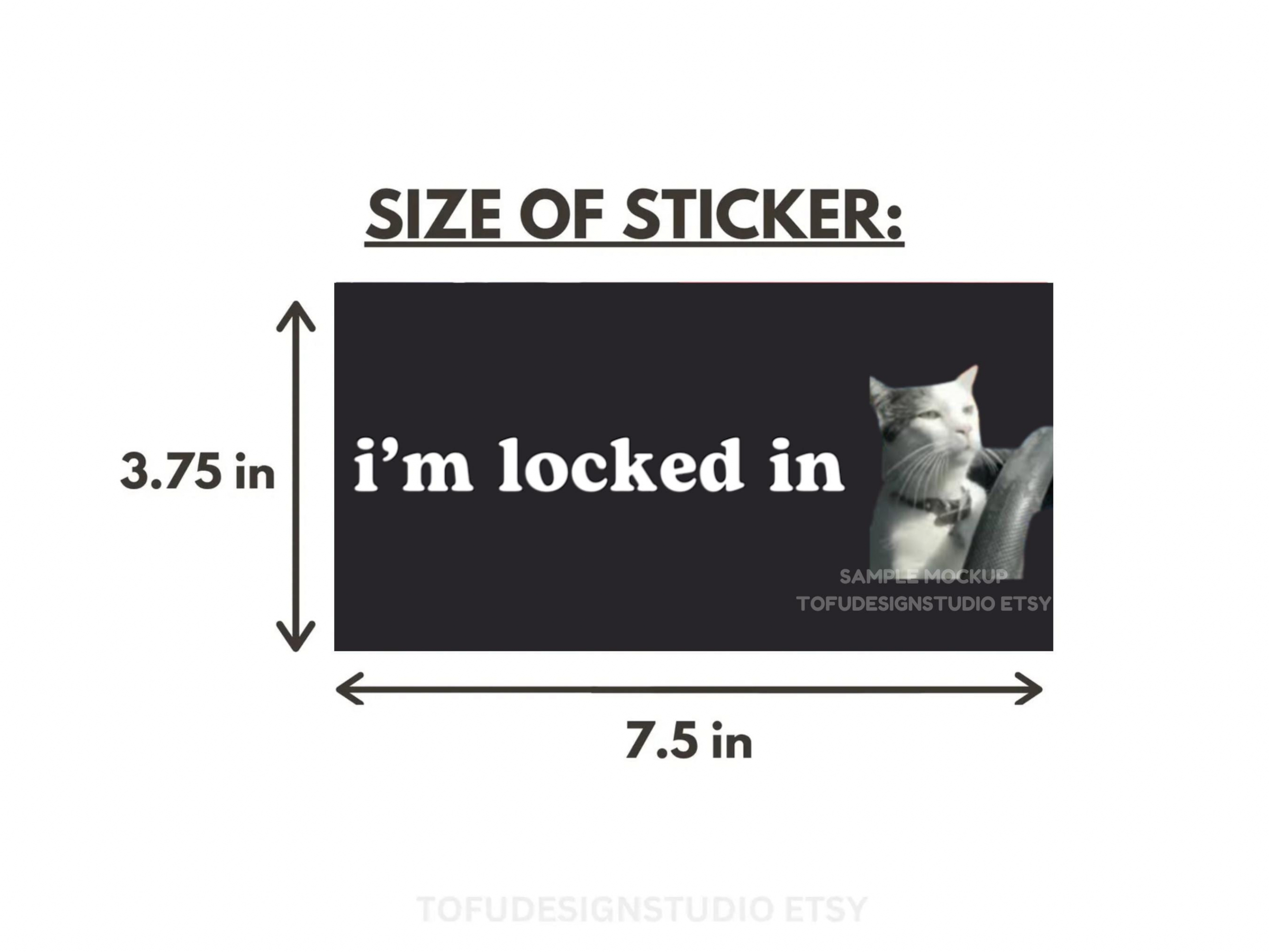 i'm locked in | Cat Meme Car Bumper Sticker | Driving Kitty Funny Cute Car Sticker Accessories | Waterproof Vinyl Window Car Decal 11 x 3"" HFN
