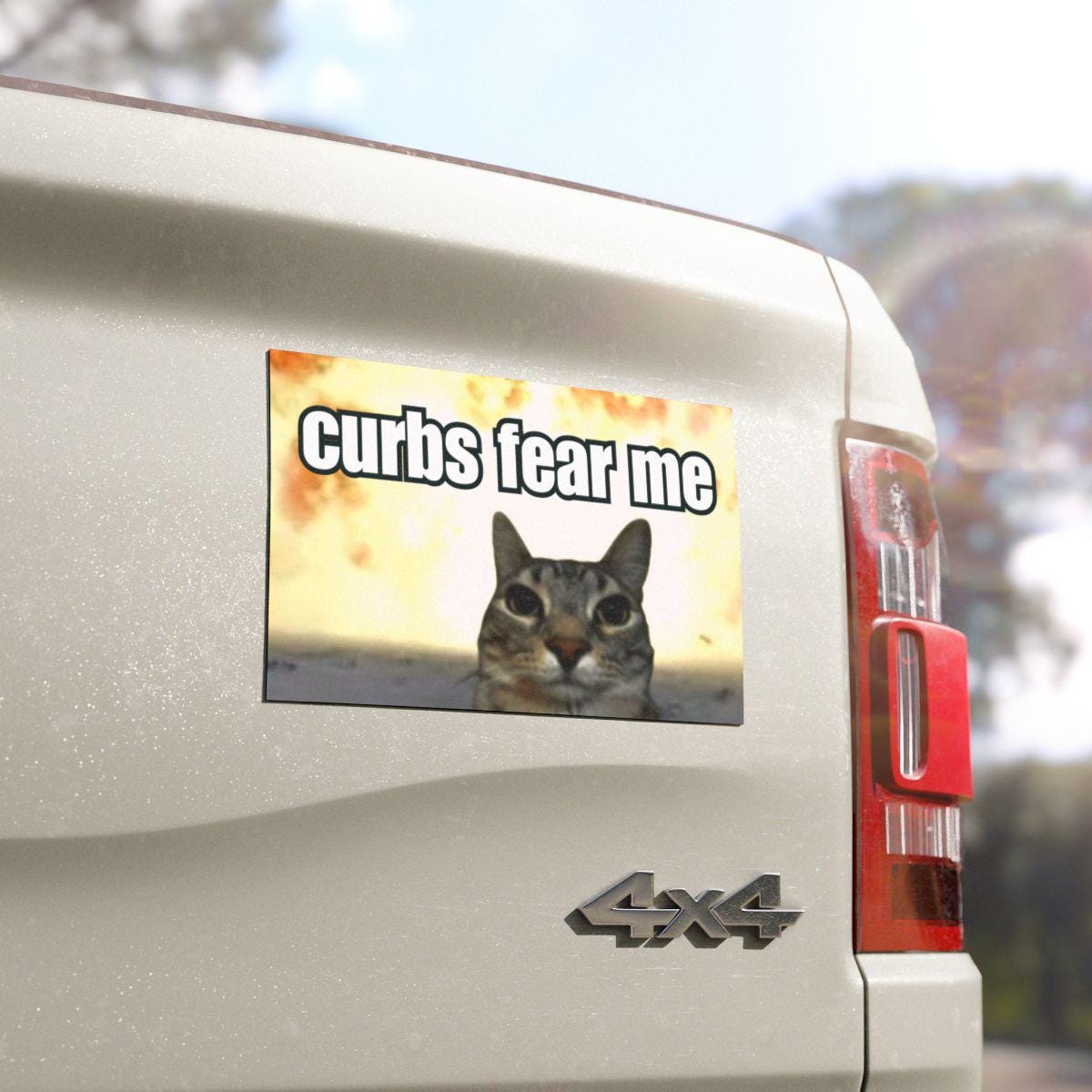 Curbs Fear Me / Funny Cat Car Bumper MAGNET / Meme Gen Z Unhinged Magnetic Car Decal Cute Car Accessory / Waterproof Vinyl Car Magnet HFN