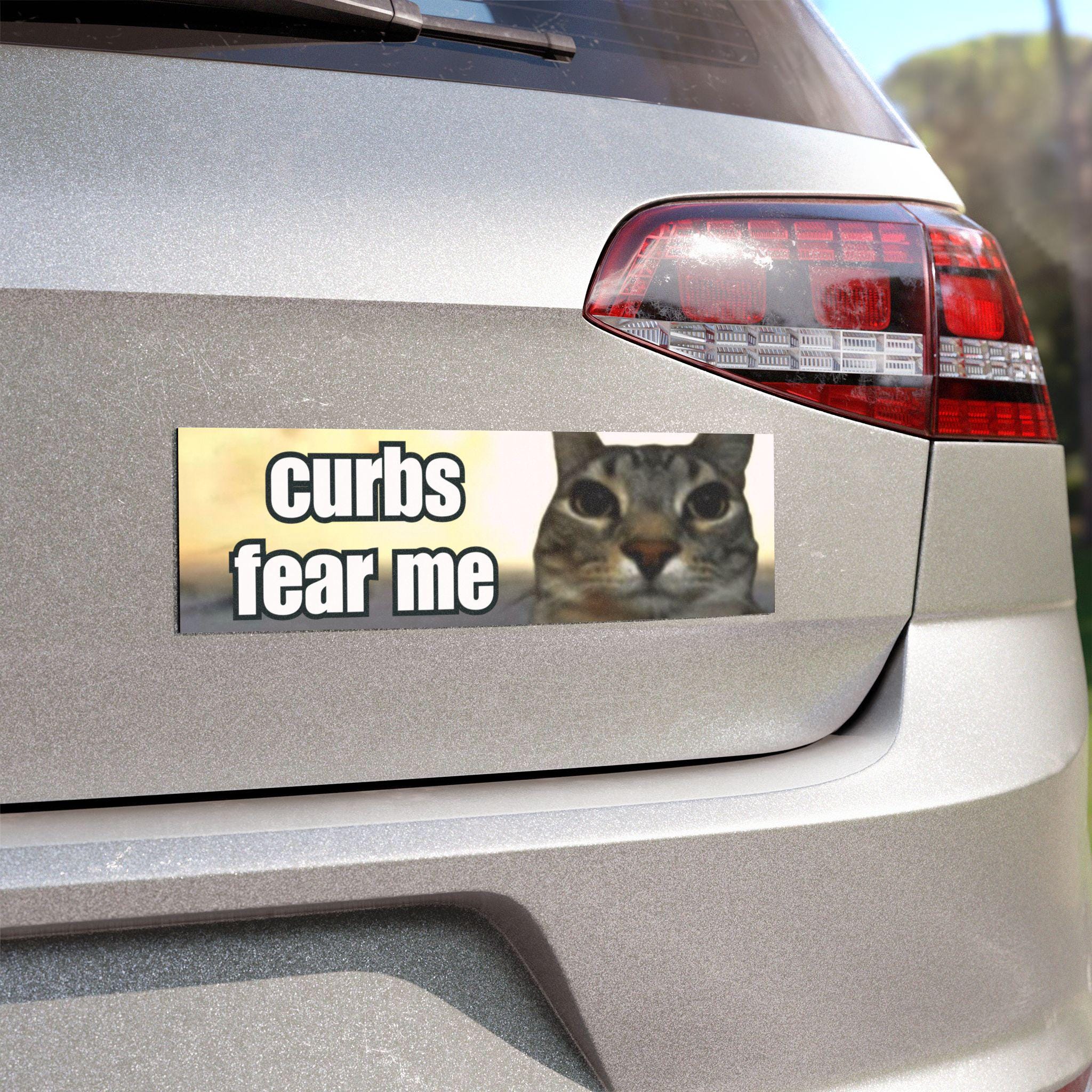 Curbs Fear Me / Funny Cat Car Bumper MAGNET / Meme Gen Z Unhinged Magnetic Car Decal Cute Car Accessory / Waterproof Vinyl Car Magnet HFN