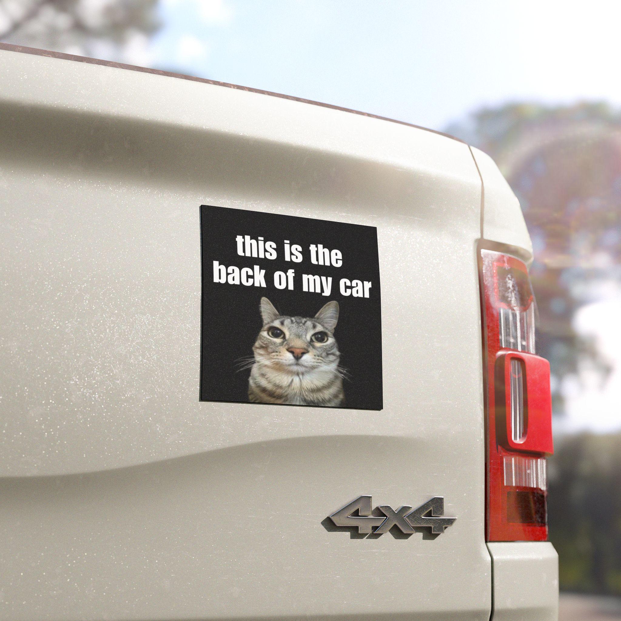 This is the Back of My Car | Funny Car Bumper Magnet | Cat Meme Black and White Unhinged Car Accessory | Waterproof Magnetic Vinyl Decal HFN