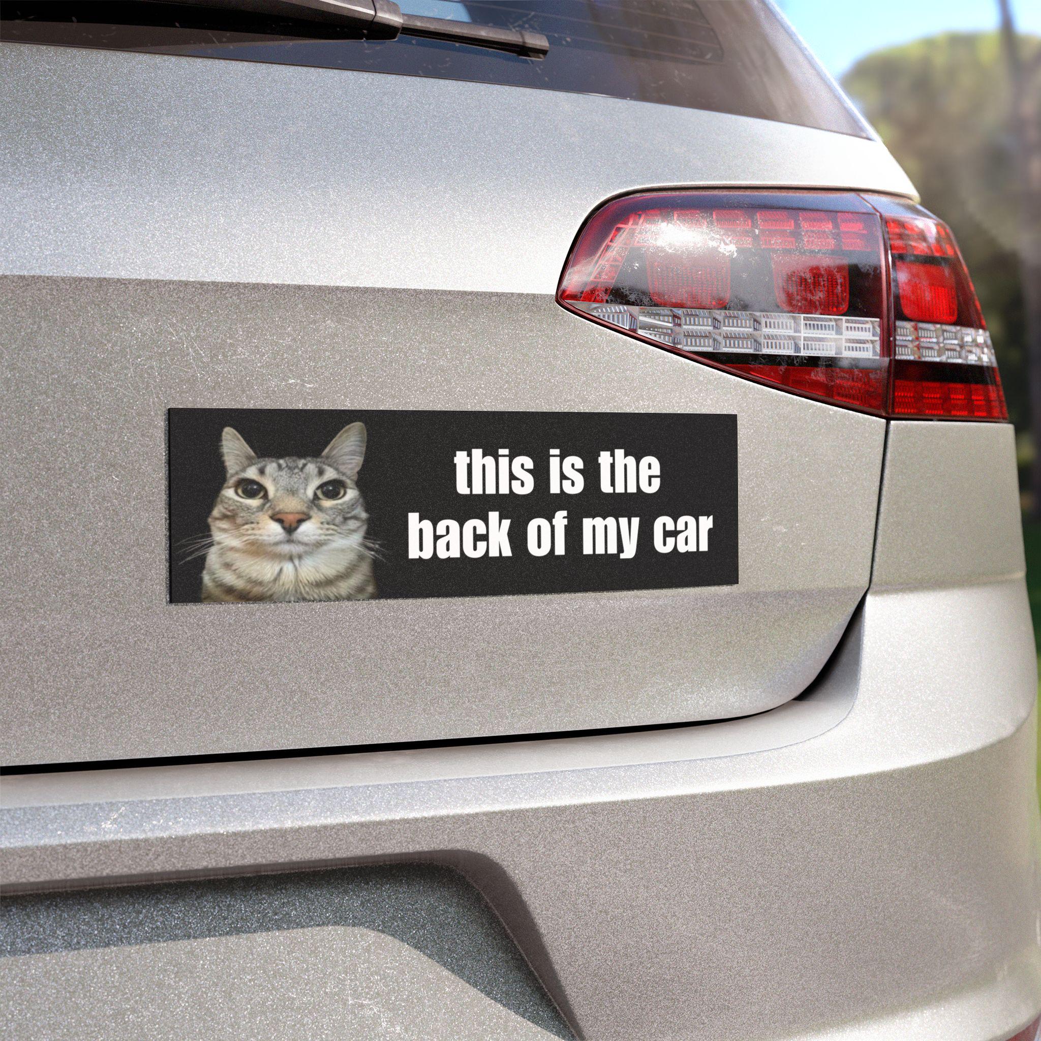 This is the Back of My Car | Funny Car Bumper Magnet | Cat Meme Black and White Unhinged Car Accessory | Waterproof Magnetic Vinyl Decal HFN