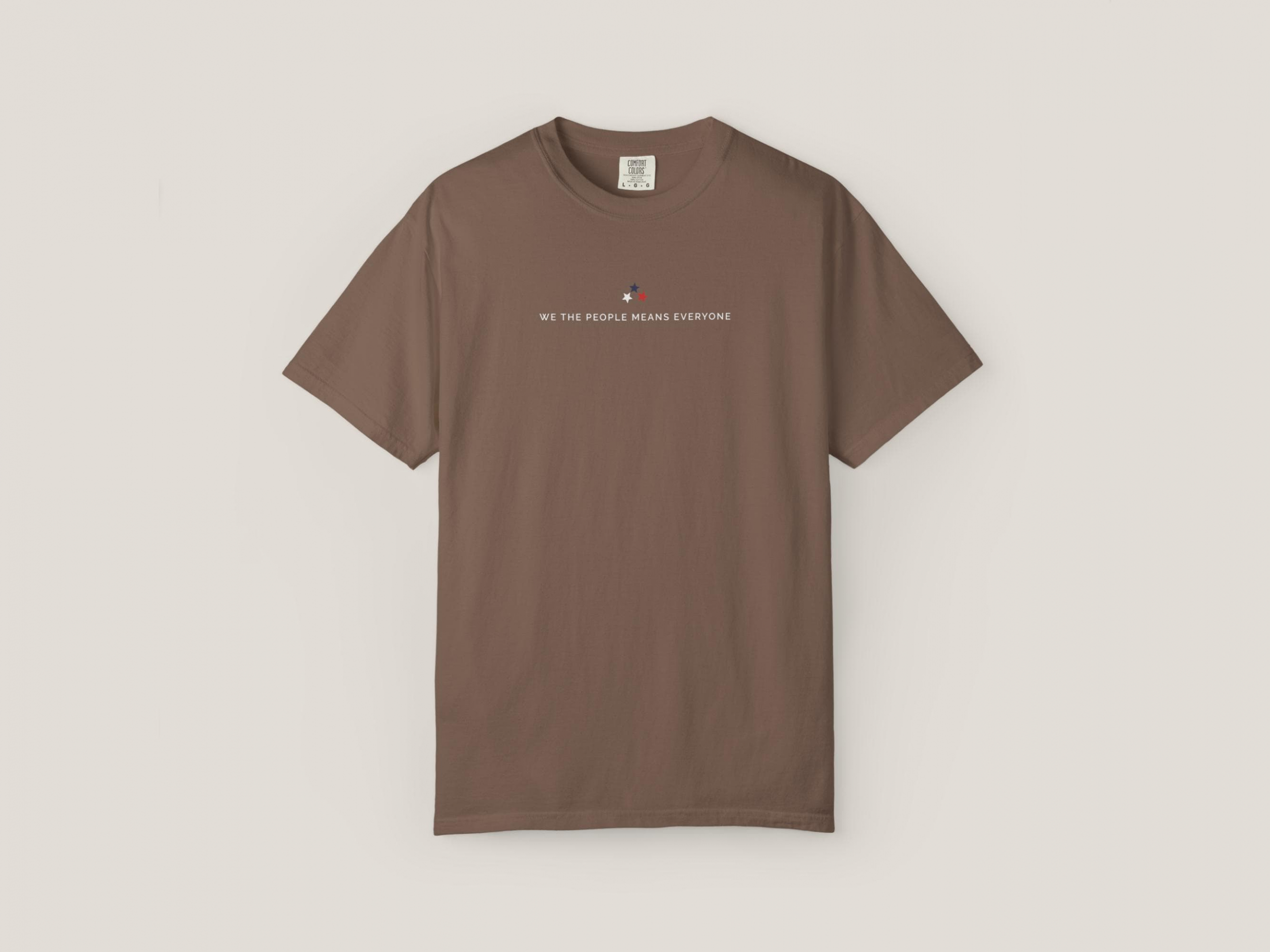 TT Liberal 4th of July Shirt Freedom Democracy Truth Shirt 250th anniversary Fight Fascism Land Of The Free Shirt Primitive Americana NNA