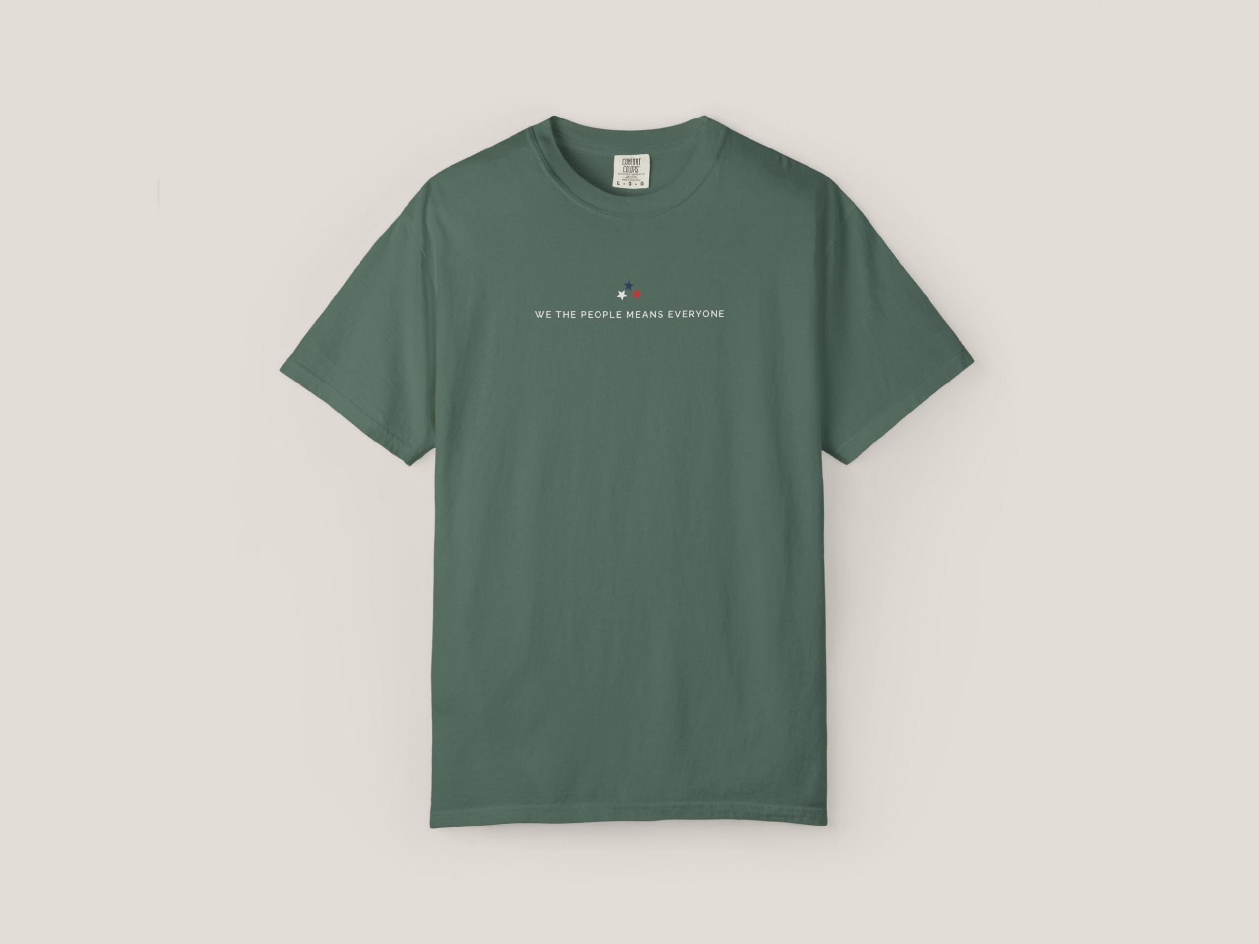 TT Liberal 4th of July Shirt Freedom Democracy Truth Shirt 250th anniversary Fight Fascism Land Of The Free Shirt Primitive Americana NNA